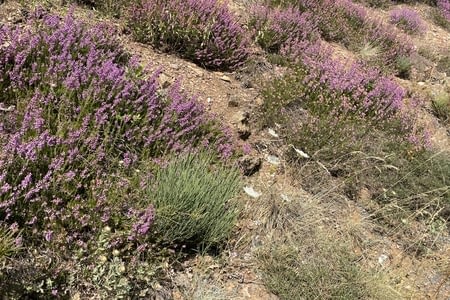 Une journée différente et sympa .