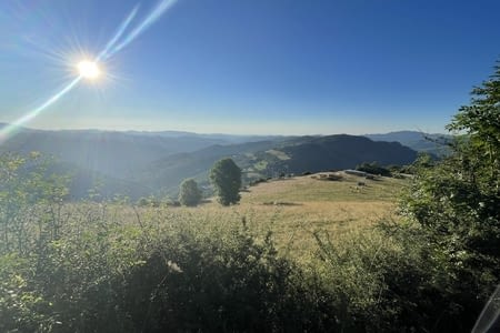 La corniches des Cévennes et la D153