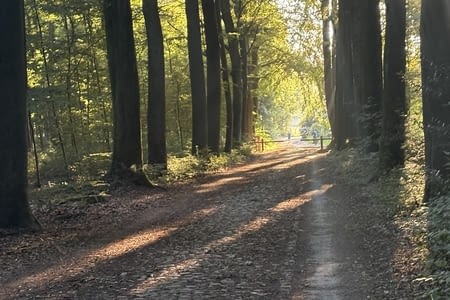 Journée de transit .