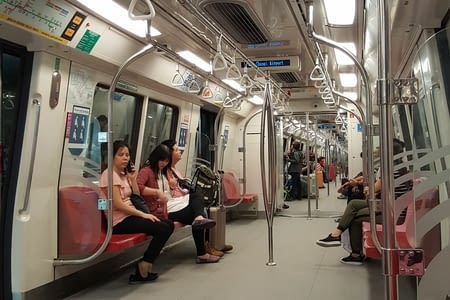 Singapour : la ville jardin