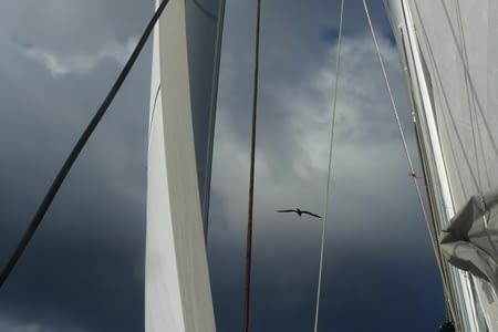 Navigation Martinique Antigua