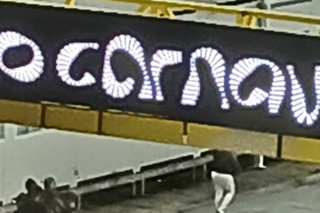 Brésil et carnavals