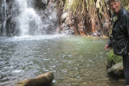 Visite des cascades de Monteverde