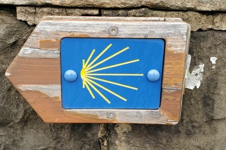 Cette fois c est parti