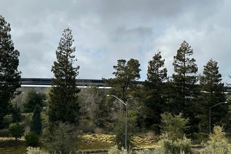 Jour 10 - Sequoia Park -> San Francisco