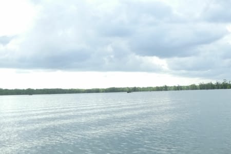 Lake Martin et festival de La Fayette - 26 avril 2023