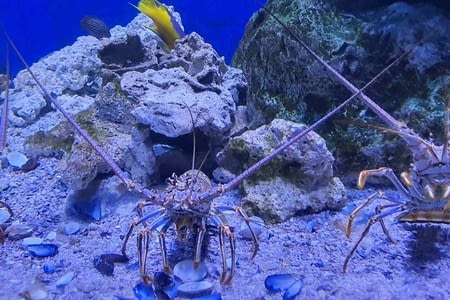 Tampa et St Petersburg