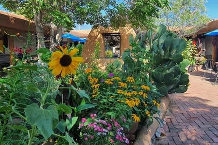 Albuquerque (route 66)