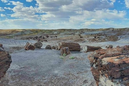 Petrified Forest et Painted Desert Natl. Park