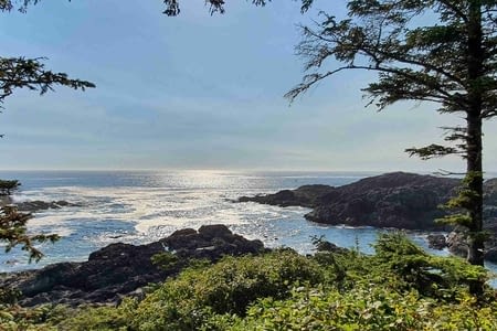 Sproat Lake et Ucluelet