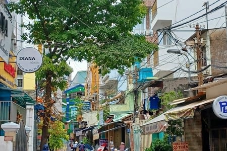 J 5 Ho Chi Minh l'effervescence 