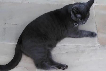 Retour à Évreux city Normandie