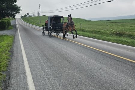 Bienvenue dans le Pays Amish