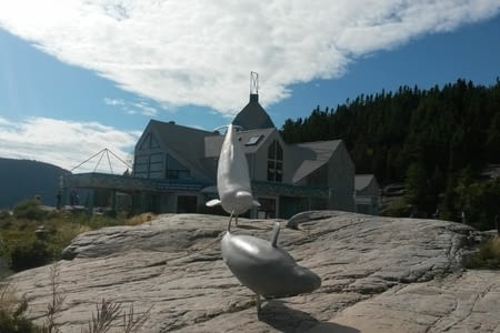 Observation des baleines : de la théorie à la pratique, Tadoussac, Québec 