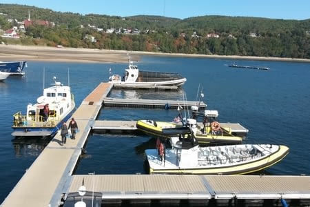 Les Croisières maritimes du Fjord / Tadoussac > Anse Saint Jean > Baie Eternité, Québec
