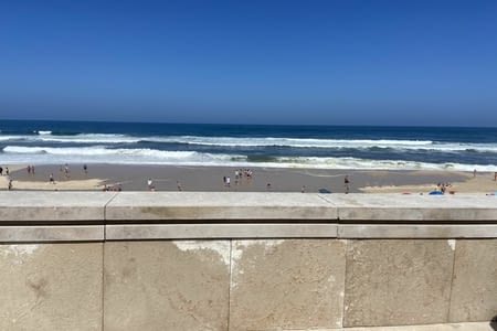 🏖️ visite à l’océan 