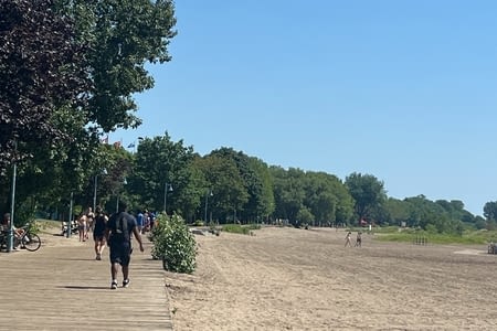 Jour 4 — Une matinée BNI et un cinéma en plein air