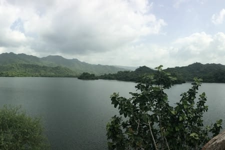 Ranakpur - Temple jaïn d'Adinath