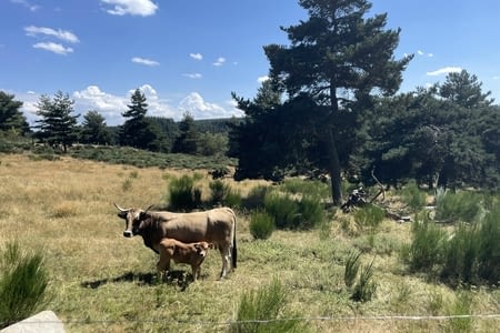 J2 - Saint-privat d’allier / Chazeaux