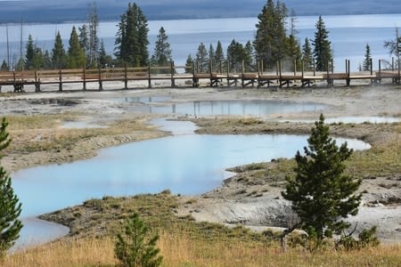 15 août : Yellowstone de Grant à Canyon Village