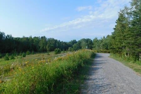 20/08/2017: Parc de la Rivière du Moulin