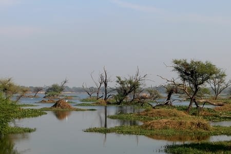 Bharatpur
