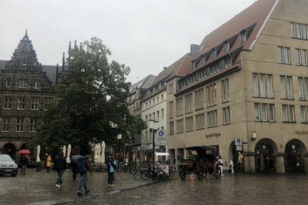 Münster 12.10