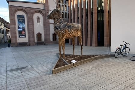 Selestat, une joli découverte 