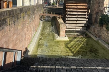 La forêt de Haguenau