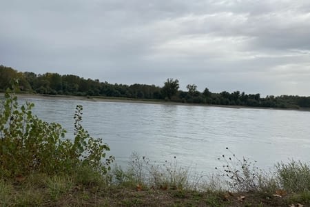 Je vois je vois au delà du Rhin