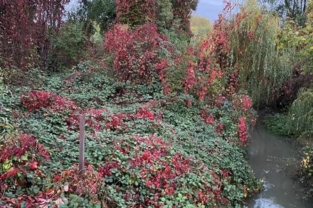 Un peu de repos au bord du canal du Rhin à la Marne
