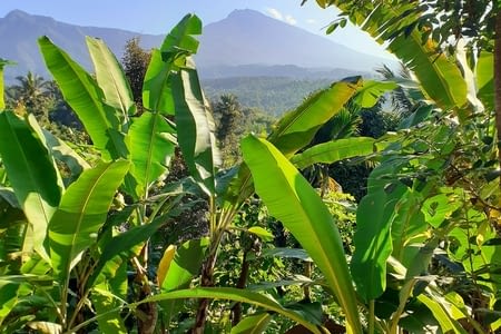 1er arrêt à Lombok