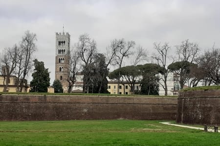 3- Lucca