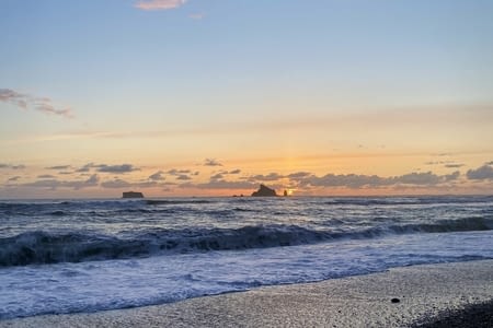 Jour 10 : Olympic National Park