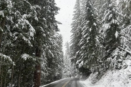 Jour 13 : Mont Rainier National Park