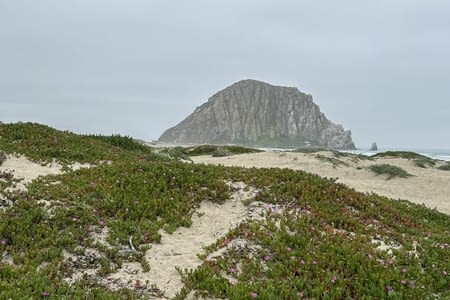 Jour 29 : Morro Bay