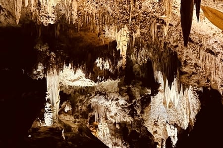 Jour 68 : Carlsbad Caverns National Park