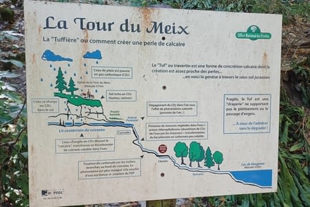 Randonnée du joli chemin de la fôret