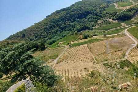 Visite de Baume-Les-Messieurs