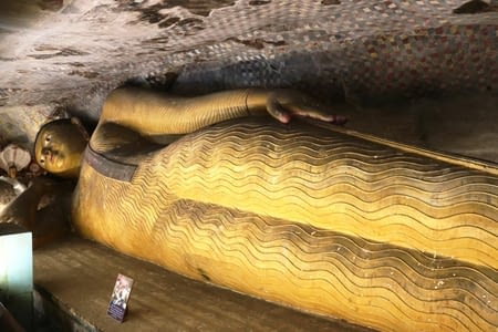 Jour 4 - rocher du lion et temple d'or de Dambulla 