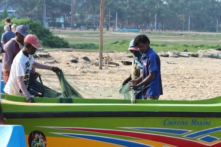 Jour 17 - dernier jour au Sri Lanka - Negombo