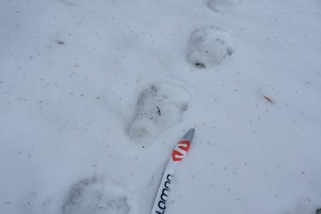 Semaine 20 : sports d'hiver, bons petits plats et good-bye !