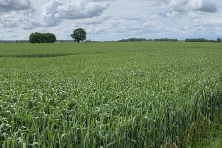 Étape 022 : Drosnay - Brienne le Château / 28 km / 566 km