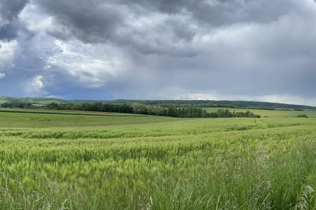 Étape 029 : Chalindrey - Leffond 70600 / 20 km / 702 km