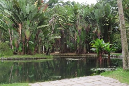 Jardin botanique de Rio