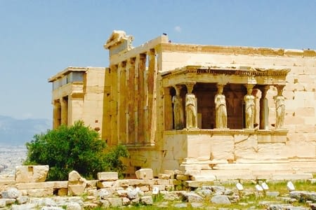 Olives et temples grecs
