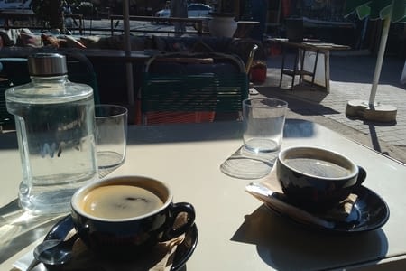 Des puces et deux motos