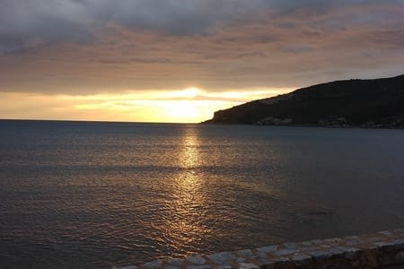 Bloody hell! The cheddar !