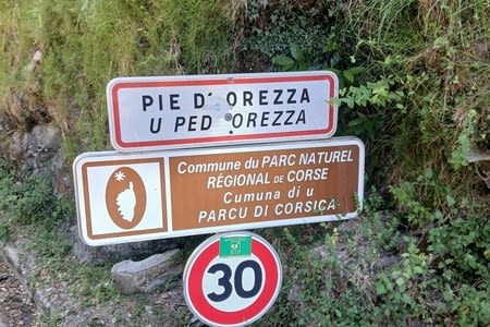 Vache grimpante et rot corse...