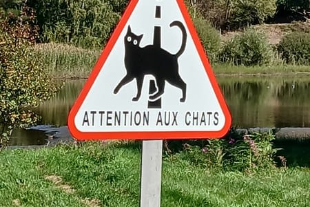Happy end surprise en Bourgogne